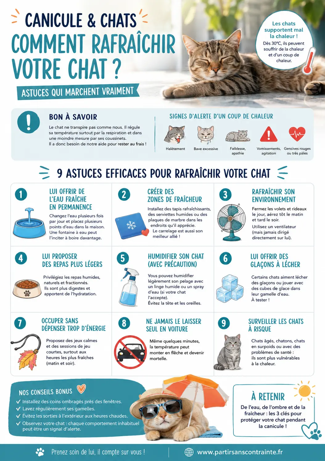 Comment rafraîchir un chat pendant la canicule - infographie