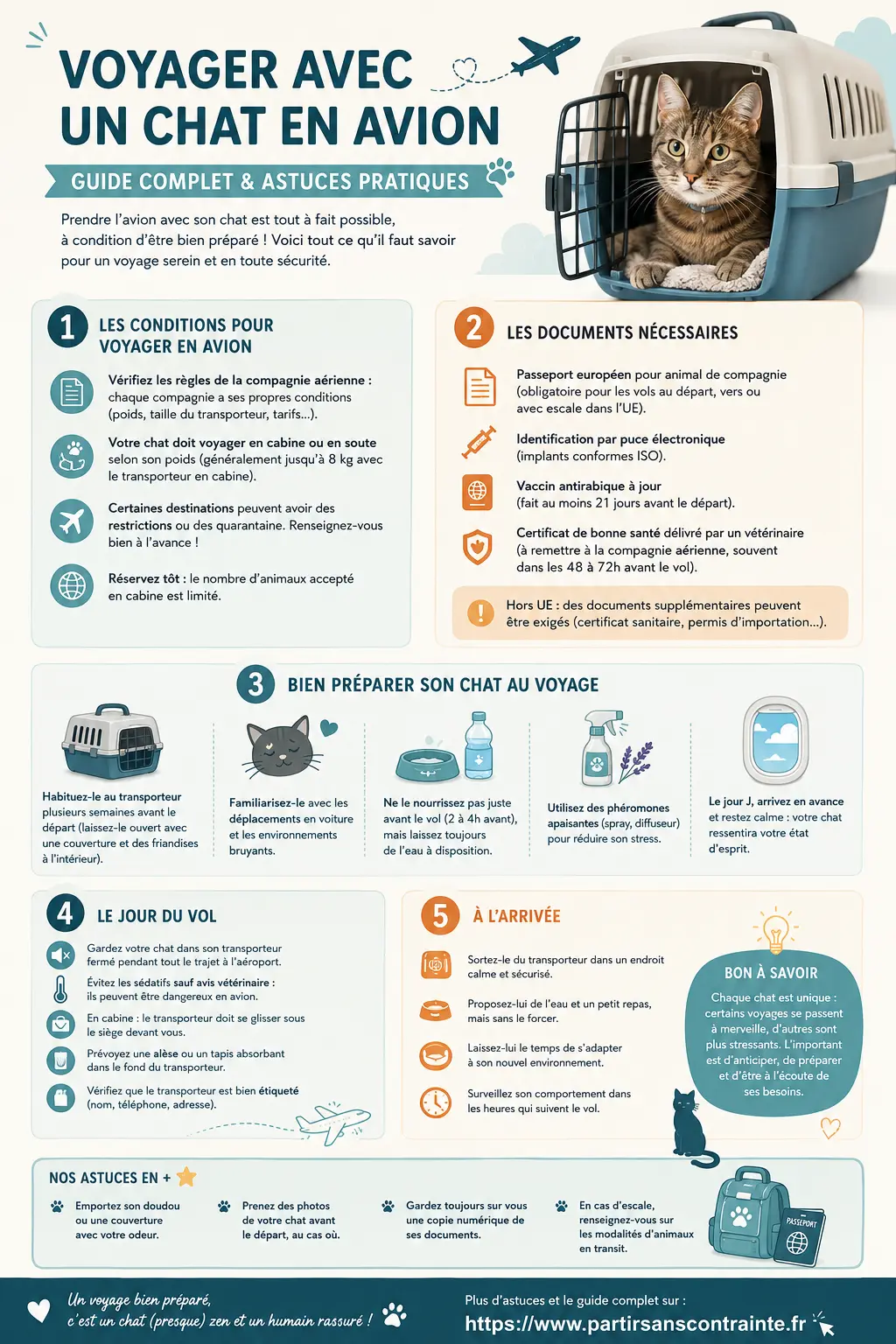 Comment voyager avec un chat en avion - infographie